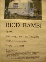 0BiodBambi6601